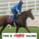 Horses test new Fair Hill turf course