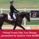 Virtual Event Day Two Features Dressage Presented by Quarry View Building Group