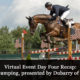Virtual Event Concludes with Show Jumping Presented by Dubarry of Ireland