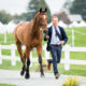 CORRECTION: Inaugural Maryland 5 Star at Fair Hill Kicks Off with First Horse Inspection