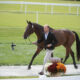 MARS Maryland 5 Star at Fair Hill Presented by Brown Advisory Welcomes Athletes for First Horse Inspection
