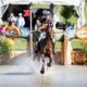 EQUESTRIAN EVENTING NATIONAL AND REGIONAL CHAMPIONSHIPS RETURN TO MARYLAND