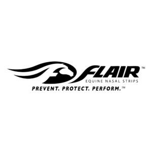 Logo with abstract horse head and text “Achieve Equine – Flair.”