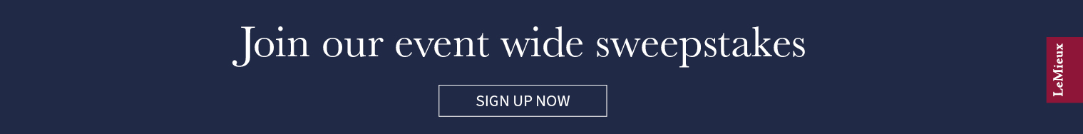 LMX Website Banners 2