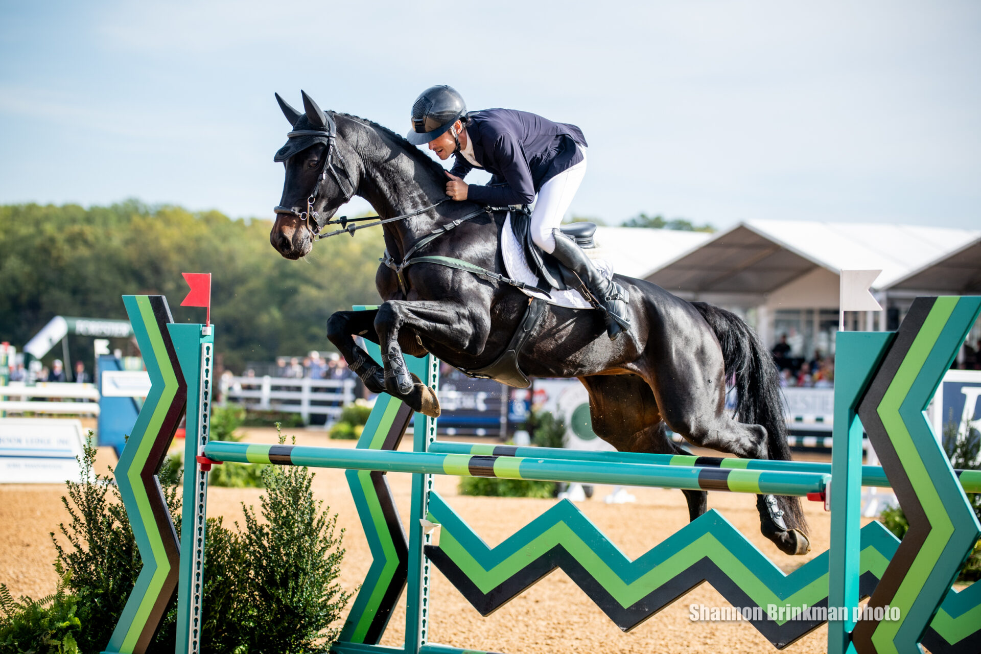 Rider and horse jumping over obstacle